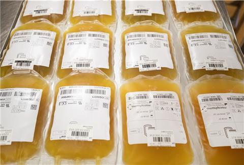 Beutel mit gespendetem Plasma mit Antikörpern gegen das Corona-Virus. 