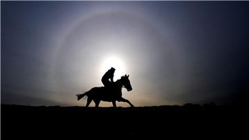Ein Pferd mit Reiter reiten von links nach rechts vor der untergehenden Sonne.