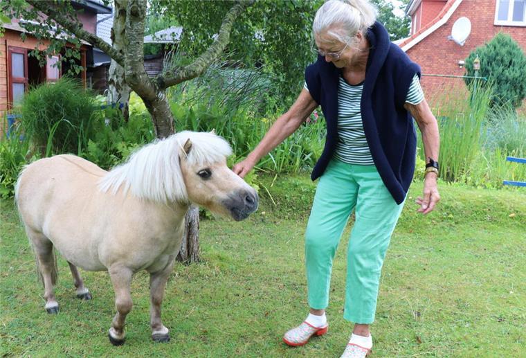 Cuxhaven: Deichverbot für Mini-Shetlandpony Fritzi sorgt für Aufregung Pferd Frau Garten