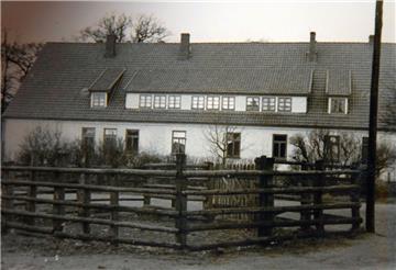 Pferdekoppel an der Ecke Bremer- und Tränkestraße. Das Gebäude im Hintergrund is...