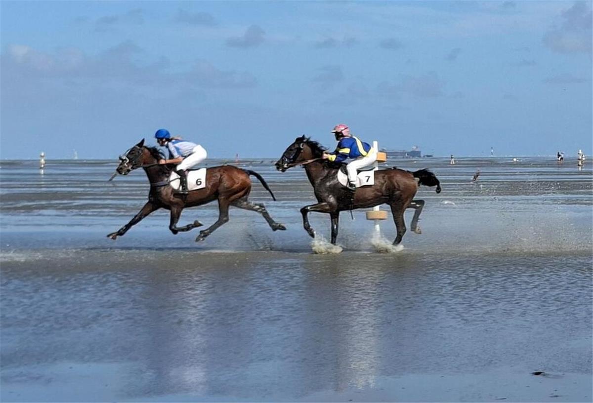 Trotz Kritik! Traditionelles Pferderennen im Watt der Nordsee findet statt Auf dem Meeresboden vor Cuxhaven reiten Teilnehmer durchs Watt.