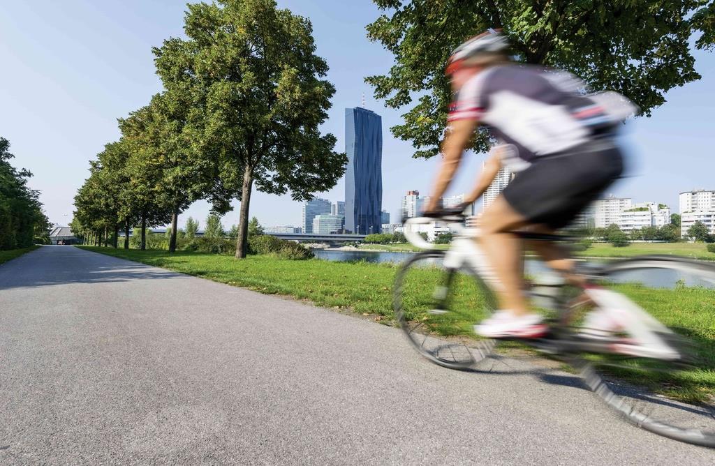 Fahhradfahrer unterwegs am Fluss
