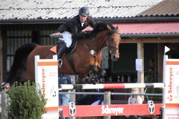 Tarmstedter Reitturnier: Nur fünf meistern die schwerste Prüfung Platz drei im M**-Springen ging an den Selsinger Jürgen Oetjen mit ?Lady Lou?.