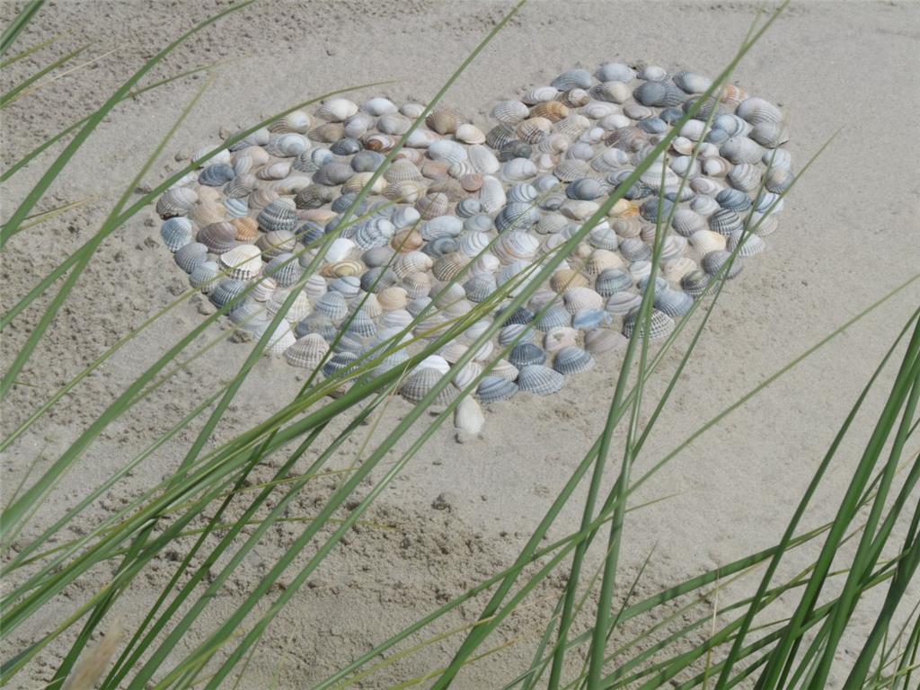 Platz sieben: &quot;Muschelherz in den Dünen&quot; von Nicole Ollhoff.