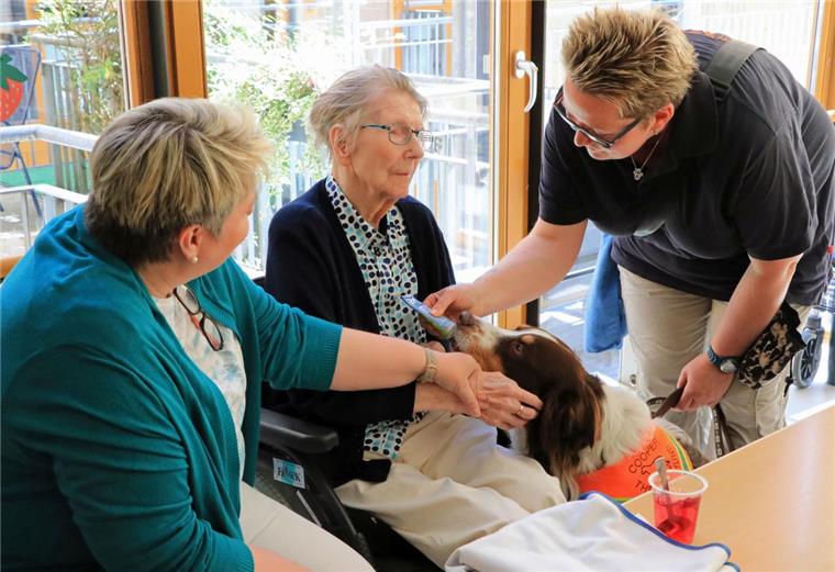 Poldi und Cooper sind Therapiehunde und besuchen regelmäßig mit ihrem Frauchen Menschen in Seniorenheimen in und um  Zeven.