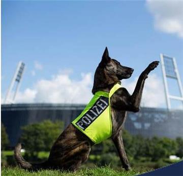 Polizeihund "Crawford" hat in Bremen zwei Gauner überführt. 