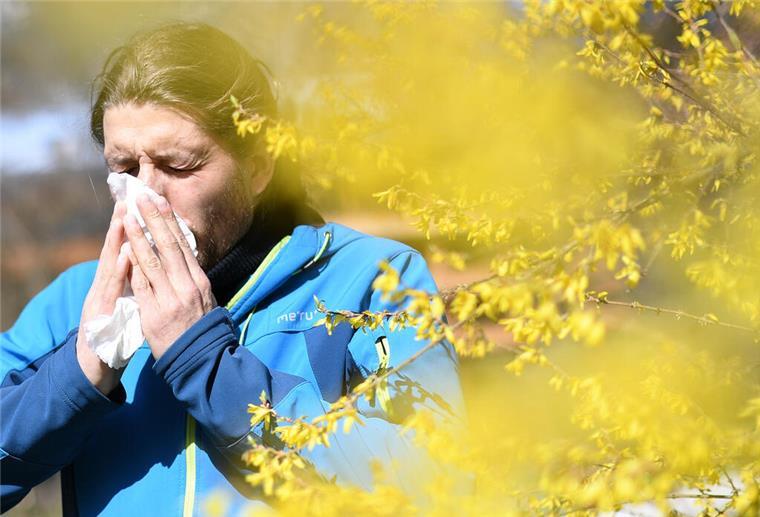 Klimawandel verlängert Pollenflugzeiten: Tipps für Allergiker Eine Frau steht neben einem blühenden Strauch und schnäuzt in ein Taschentuch.