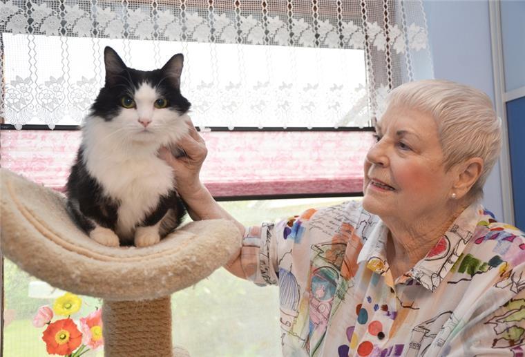 Cuxland: Tierschutzverein pflegt kranken Kater aus der Ukraine Puschel hat derzeit ein liebevolles Zuhause bei Ingrid Domhardt vom Tierschutz gefunden.