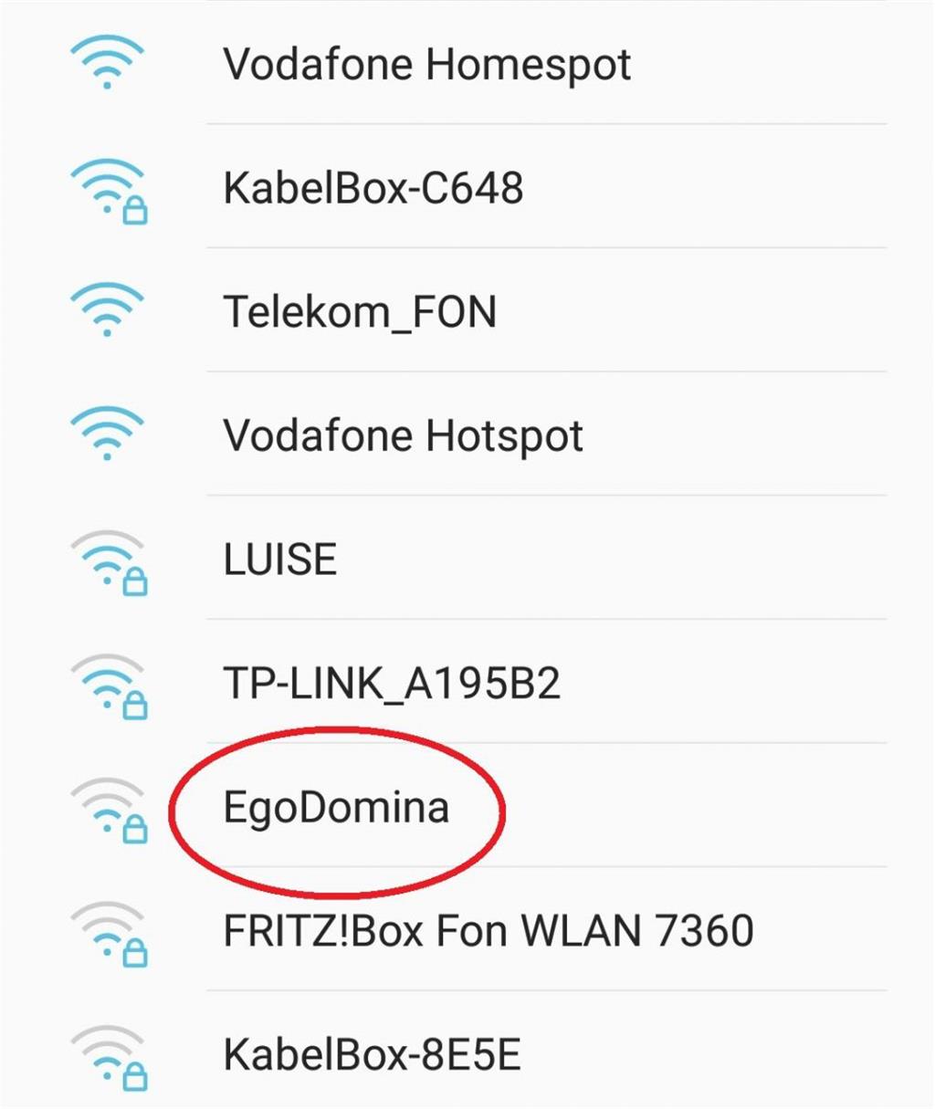 &quot;EgoDomina&quot; - zu diesem Namen fällt uns auch nichts mehr ein. - Screenshot: Gassner