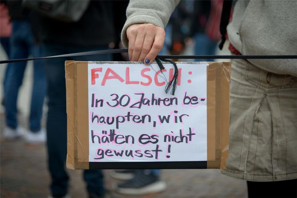&quot;Fridays For Future&quot;: Bremerhavener wollen in Bremen gegen Siemens dem...