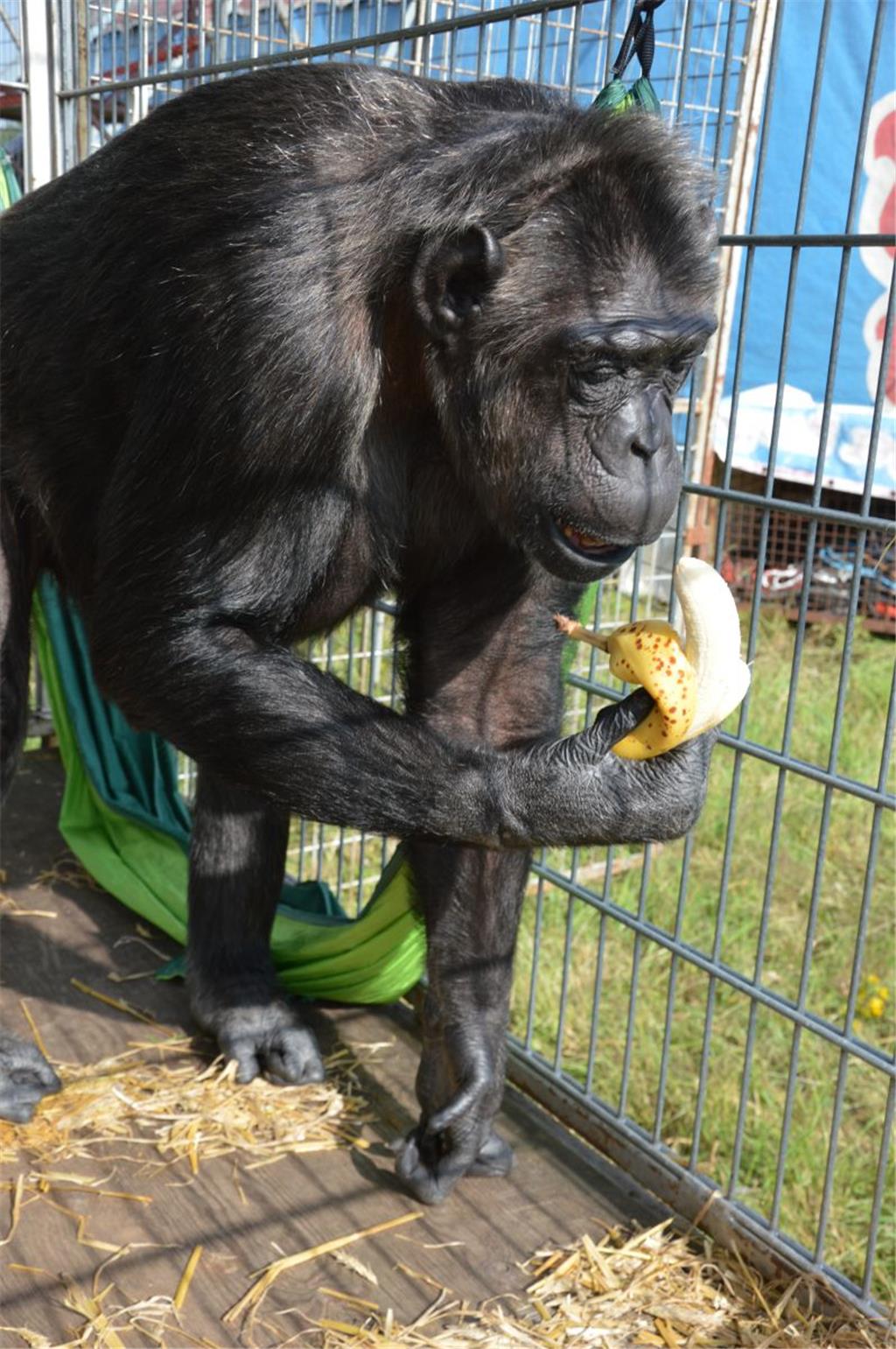 &quot;Mmmmmh... lecker!&quot; Foto: Schoener