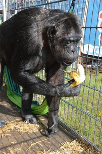 &quot;Mmmmmh... lecker!&quot; Foto: Schoener