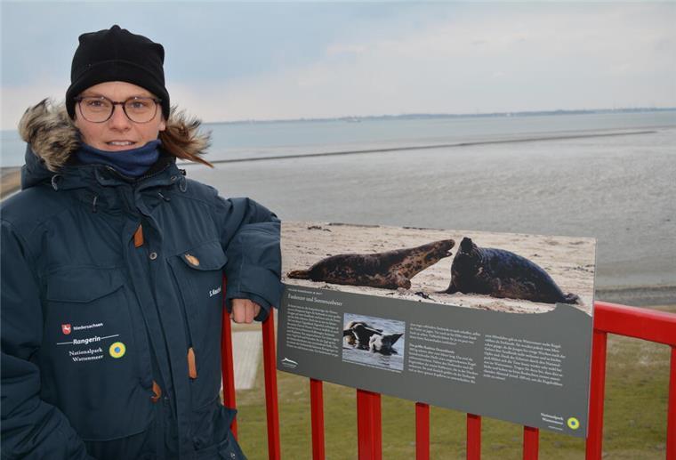 „Whale Watching“ in Butjadingen: Hier gibt es am Sonntag Schweinswale zu sehen Rangerin Susanne Koschel