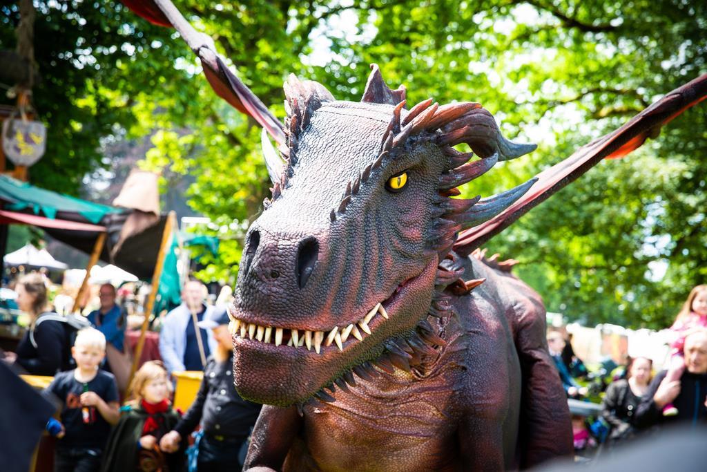Drache