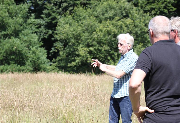 Ratsherr Henry Michaelis (links) zeigt Möglichkeiten für eine Freifläche auf. Viele Insektenarten sind bedroht. Der Bestand an Wildbienen ist in den letzten Jahren sogar um 75 Prozent geschrumpft. In Tarmstedt versucht man, diese Entwicklung zu stoppen und plant eine Natur-Oase am Ortsrand.