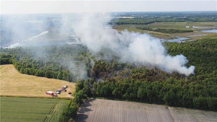 Feuerwehr bekämpft Moorbrand im Landkreis Cloppenburg Rauch steigt bei einem Moorbrand aus einem Waldstück auf.
