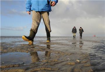 Raue Natur, salzige Luft: Nicht nur der Strand auf Borkum lockt auch im Winter naturverbundene Urlauber an.