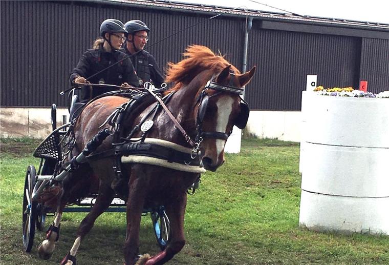 Nerven aus Stahl: Fahrsportlerin aus Wense Rebecca Poppe mit ihrem Vater Wilfried als Beifahrer und mit Erfolgspony Little Girl bei der Gelände-Prüfung.