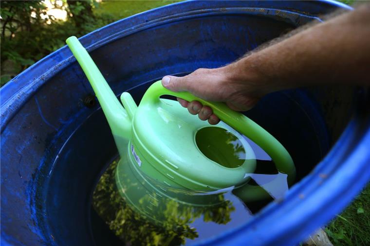 Regenwasser im Garten aufzufangen ist eine sinnvolle Sache. Die Regenwassergebühr zahlen nur Grundstücksbesitzer, die ihr Regenwasser abgebe