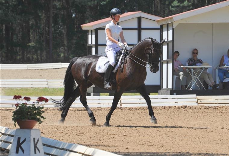 Regeln im Dressursport werden verschärft Reitsportler, wie die Bremervörderin Nina Bücker, hoffen auf eine halbegs „normale“ Saison mit neuen Regeln.