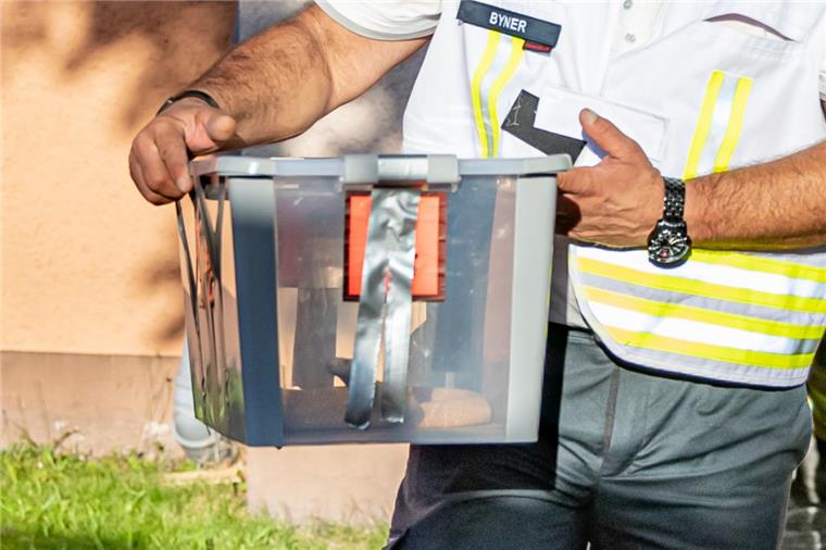 Nach tagelanger Suche: Kobra in Herne eingefangen Reptilienexperte Roland Byner trägt die entwischte Monokelkobra in einem Behälter aus einem Hauseingang in Herne.