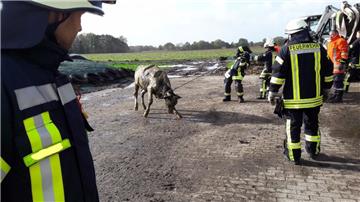 Retter und Gerettete: Mit Geschick und Improvisationstalent befreiten Kameraden der Feuerwehren Wilstedt und Vorwerk eine Kuh aus einer Güllesammelgrube.