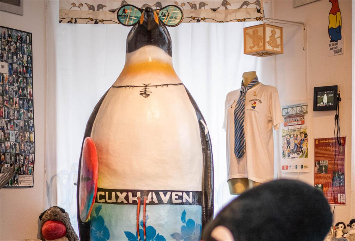 Trauriger Tag für Pinguin-Fans: Cuxhavener Museum schließt im November Verschiedene Pinguin-Sammlerstücke und -Figuren aus dem Pinguin-Museum Cuxhaven