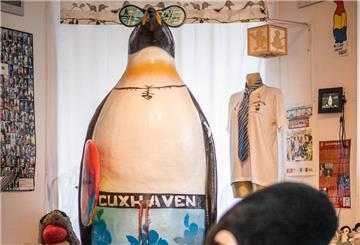 Verschiedene Pinguin-Sammlerstücke und -Figuren aus dem Pinguin-Museum Cuxhaven