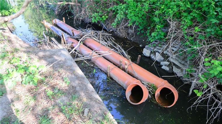 Rückkehr des Bibers bereitet Landwirten Probleme Rohre als Drainage liegen in einem Biberdamm in einem Wasserlauf in der Region Hannover.