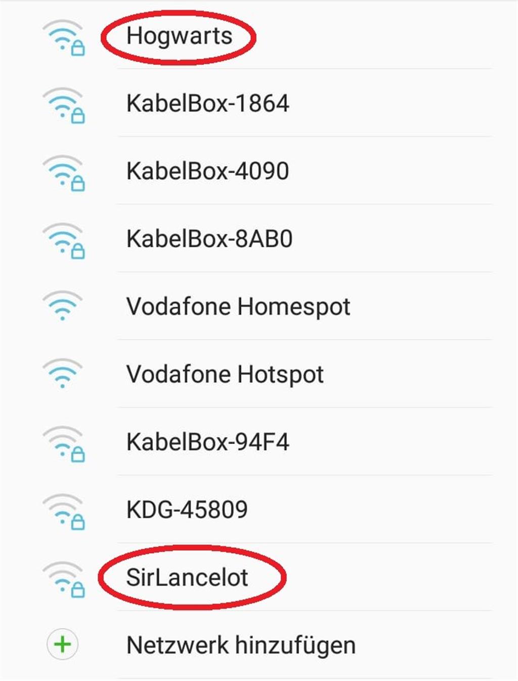 Romanfiguren und -orte sind auch beliebte Namen fürs WLAN. - Screenshot: Overschmidt