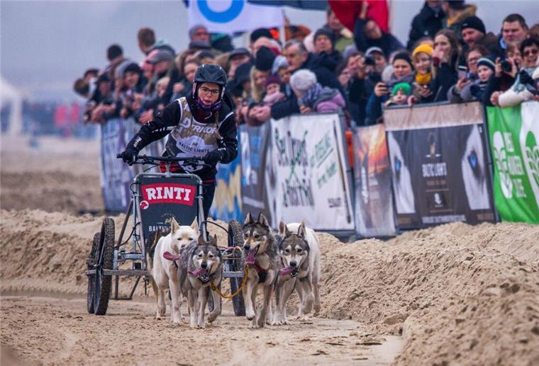 Ronja Wagner mit ihrem Hundegespann beim Schlittenhunderennen „Baltic Lights“  auf der Insel Usedom.