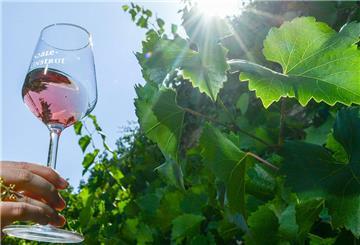 Rosé-Wein liegt im Trend. Rotwein dagegen kommt bei den Deutschen nicht mehr so gut an. 
