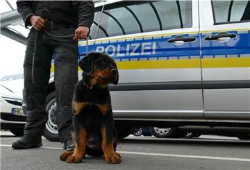 Rottweiler Balu hat vor einem Jahr seinen Dienst bei der Polizei in Bremerhaven angegreten.