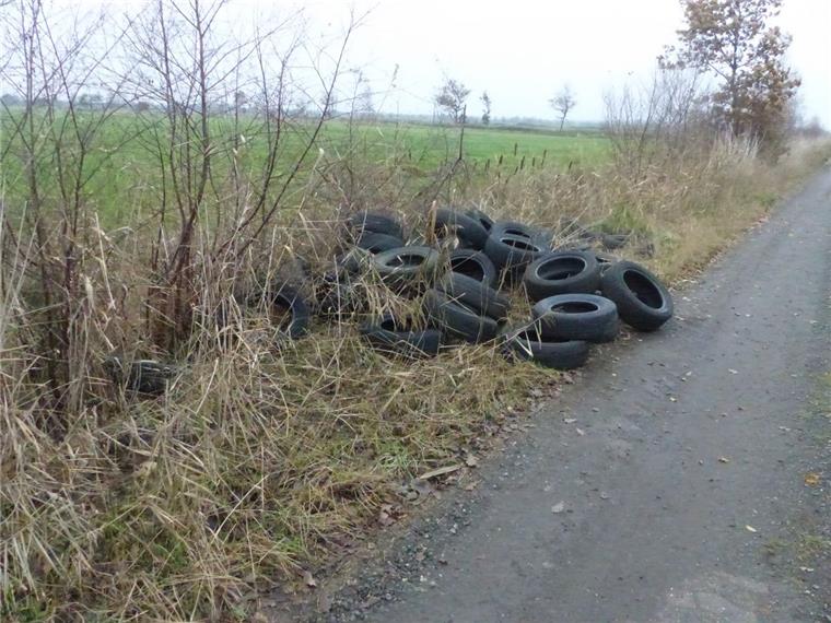 Rund 100 Reifen sind illegal in der Gemarkung Elmlohe entsorgt worden.