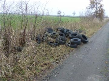 Rund 100 Reifen sind illegal in der Gemarkung Elmlohe entsorgt worden.