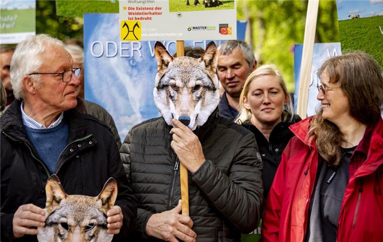 Rund 60 Demonstranten haben in Harburg für mehr Wolfsmanagement protestiert. Ein Teilnehmer trägt eine Maske in Form eines Wolfskopfs.