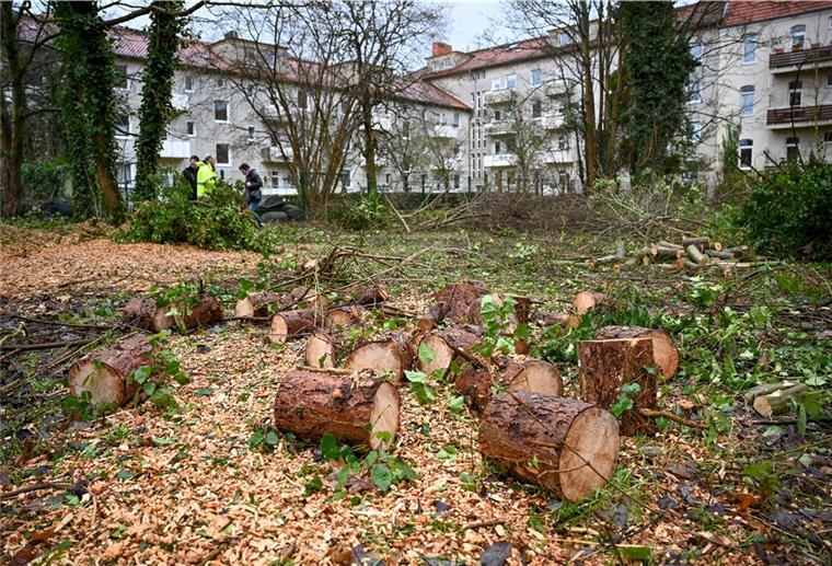 Rund 6000 Quadratmeter groß ist das Grundstück, das vom Umweltamt ab 2008 von Schadstoffen gereinigt worden ist.