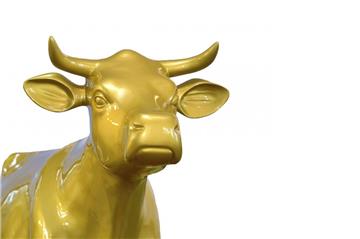 Rund 8500 Milchviehbetriebe haben im Wettbewerb um die "Goldene Olga" teilgenommen. Ein Butjadinger Hof ist unter den 15 Besten.