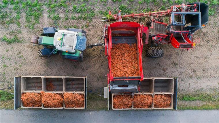 Rund acht Prozent der landwirtschaftlichen Betriebe in Niedersachsen arbeiten nach Bio-Standards. (Archivbild)