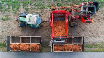 Rund acht Prozent der landwirtschaftlichen Betriebe in Niedersachsen arbeiten nach Bio-Standards. (Archivbild)
