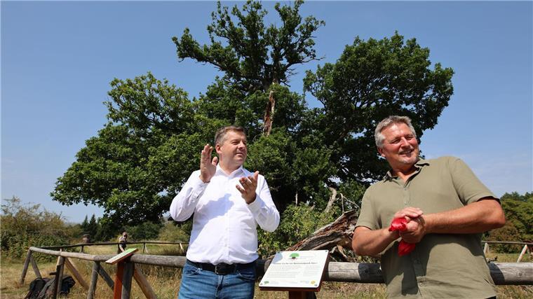 Auszeichnung für 500 Jahre alte Eiche im Harz Sachsen-Anhalts Forstminister Sven Schulze (SPD, l), und Nationalpark Harz Chef Roland Pietsch.