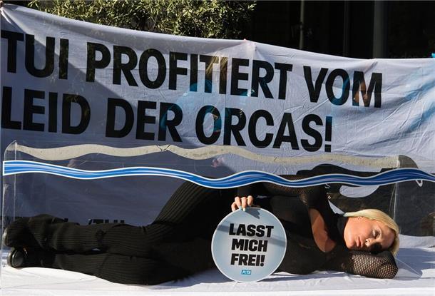 Sarah Connors schönstes Weihnachtsgeschenk ist die Entlassung des Umweltaktivisten Paul Watson aus dem Gefängnis. Hier bei einem Protest der Tierrechtsorganisation Peta vor der Niederlassung eines Reiseveranstalters.