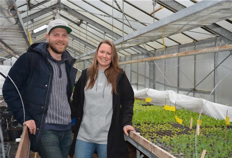 Gemüsezeit in Altluneberg: Neue Saison beginnt Sarah Stankus und Phillip Puckhaber wollen in der neuen Saison Abläufe optimieren, um noch effizienter zu Arbeiten. Aktuell steht bei ihnen vor allem Pflanzen, Pflanzen, Pflanzen auf der Tagesordnung.