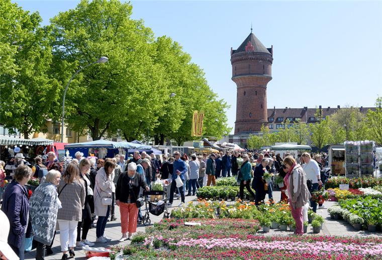 Blütenfest Geestemünde: Farbenfrohes Spektakel Blütenfest Bremerhaven