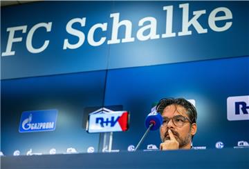 Schalkes Trainer David Wagner spricht in der Veltins Arena auf einer Pressekonferenz des FC Schalke.