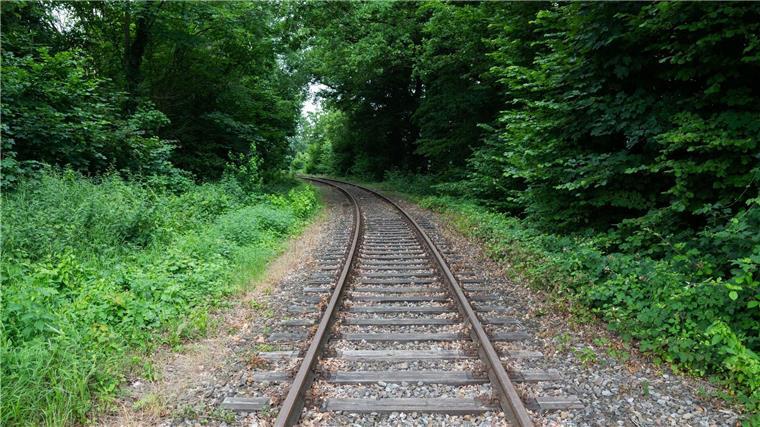 Schienen verlaufen auf der alten Bahnstrecke Rinteln - Stadthagen am alten Bahnhof Nienstädt im Landkreis Schaumburg.