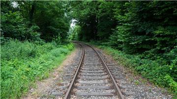 Schienen verlaufen auf der alten Bahnstrecke Rinteln - Stadthagen am alten Bahnhof Nienstädt im Landkreis Schaumburg.