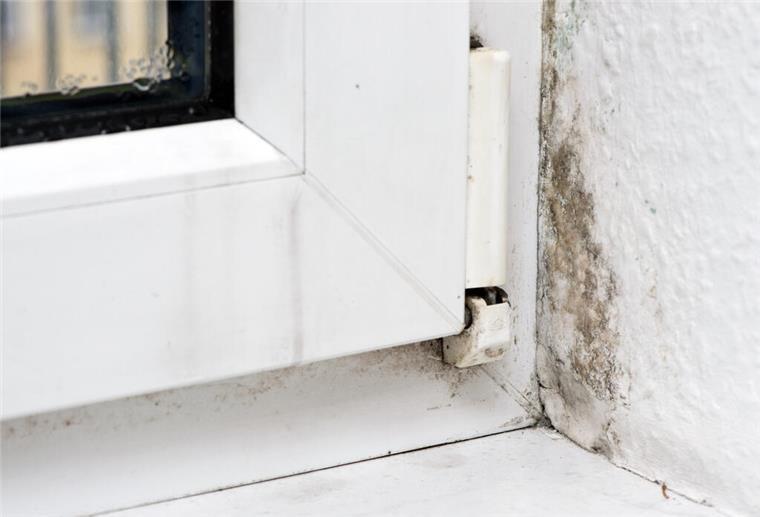 Schimmel in einer Ecke neben einem Fenster
