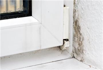 Schimmel in einer Ecke neben einem Fenster