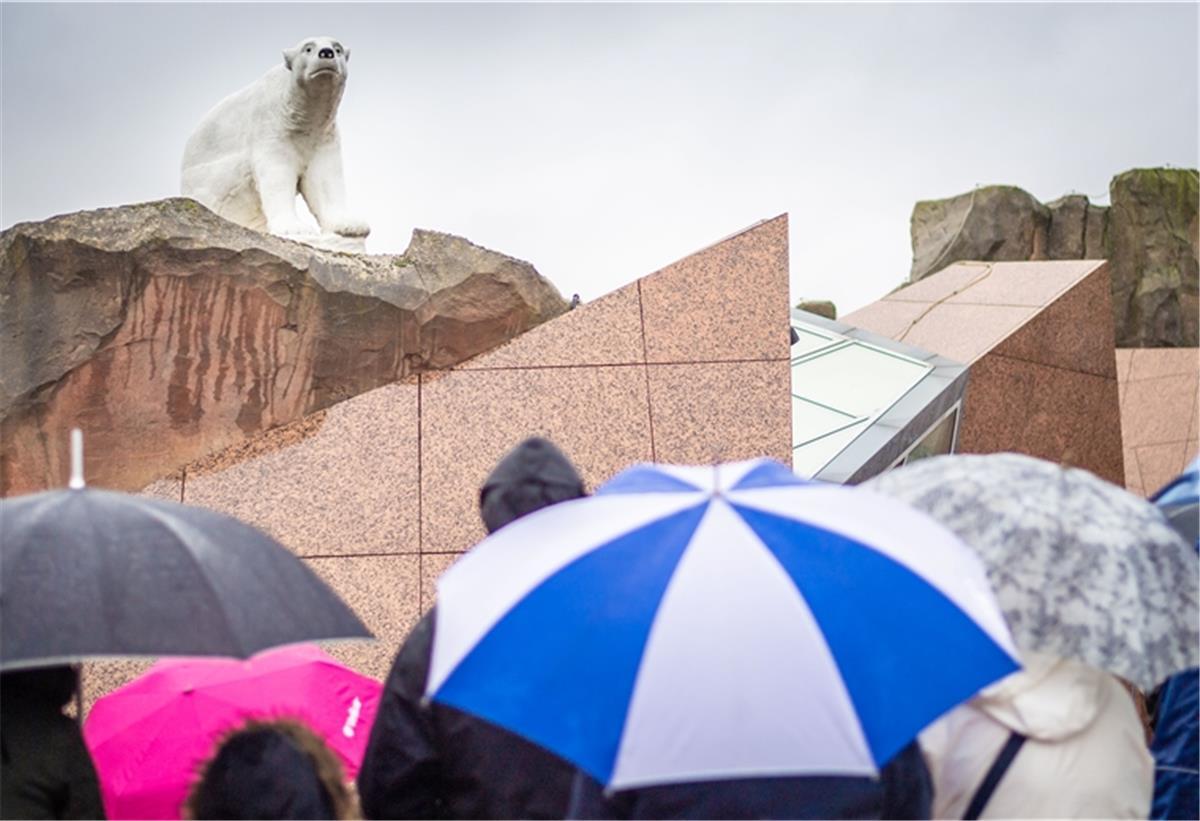 Schlange stehen ist verboten: Nur wer vorab ein Onlineticket gebucht hat, kommt in den Zoo - zu einer bestimmten Zeit. Foto: Hartmann